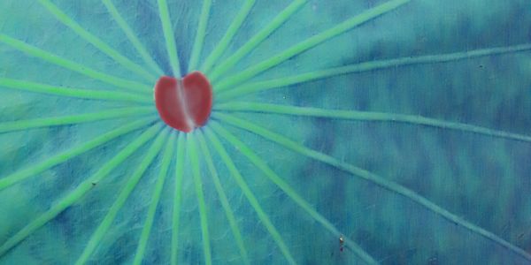 Heart of business