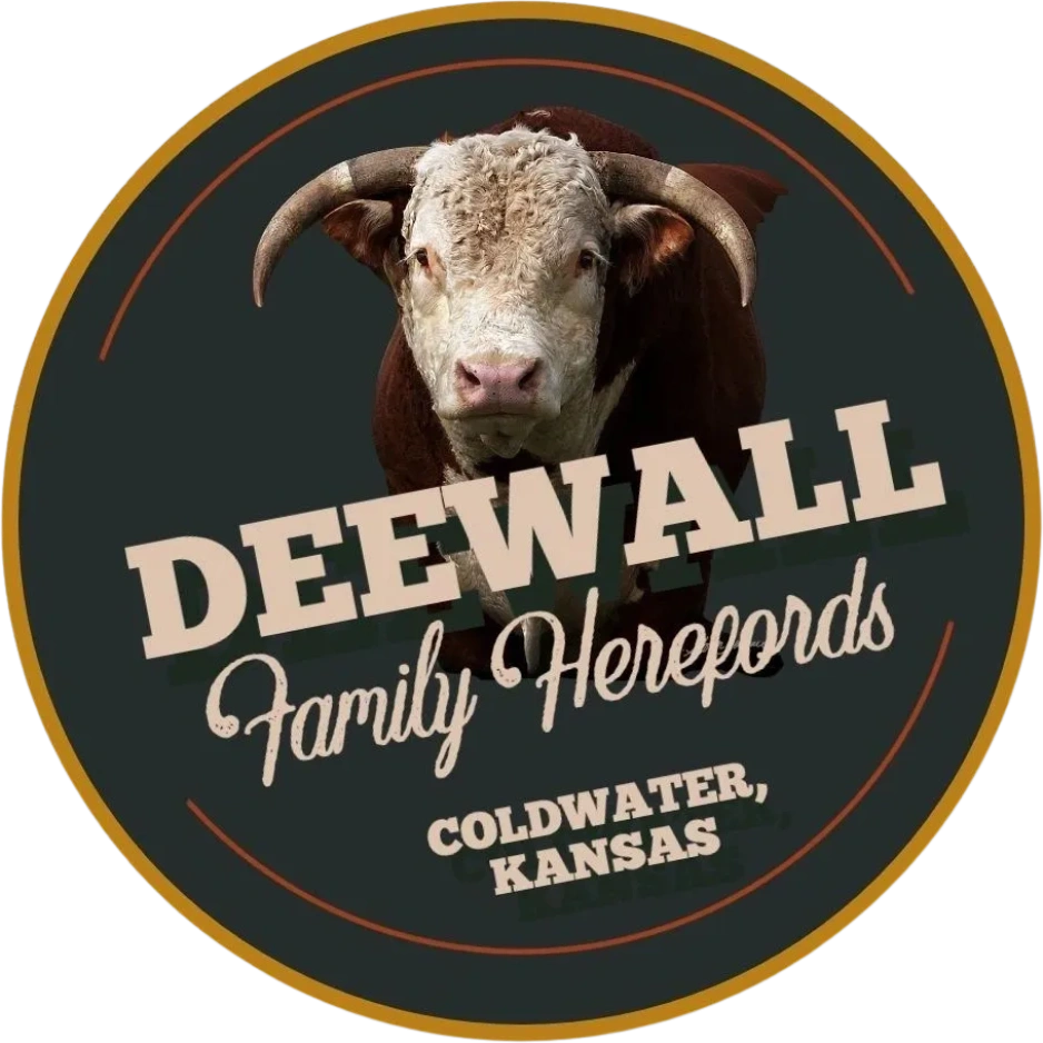 Deewall Family Herefords Hereford Bulls, Hereford Cattle