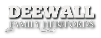 Deewall Family Herefords