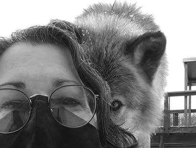 A wolf looking straight ahead, from over the shoulder of a woman wearing a mask
