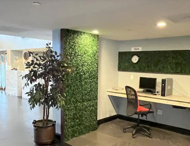 A lobby with a desk, chair, computer, plant, and greenery wall.