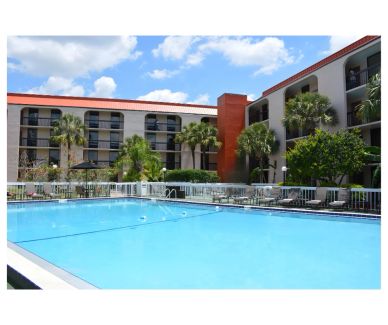 A large hotel pool with lounge chairs and palm trees, in front of a multi-story building.