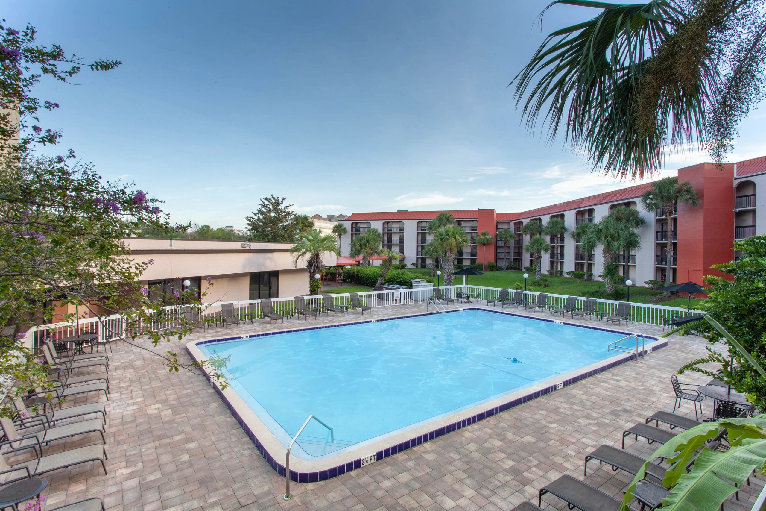 A rectangular pool surrounded by lounge chairs and palm trees, with a building in the background.