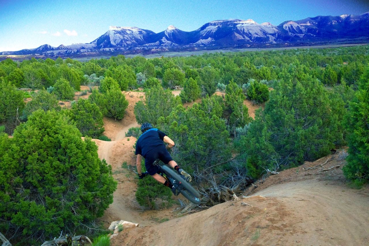 The rib cage at Phil's World mountain bike trail system in Cortez Colorado