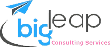 Big Leap Consulting Services