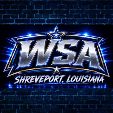 WSA logo with a shining blue and silver design.