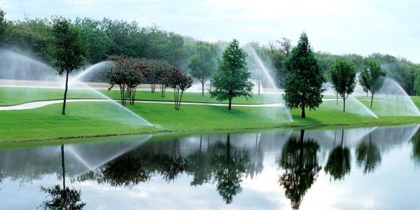 Sprinklers watering lush green trees beside a reflective pond.