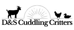 D&S Cudling Critters