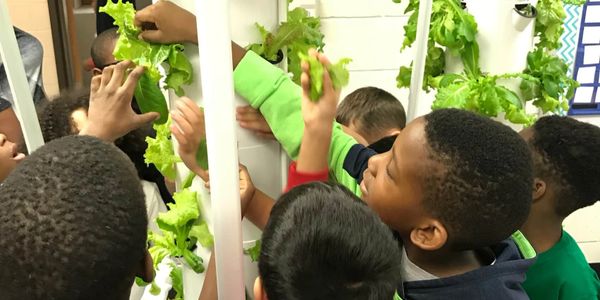 Engage Students with a Classroom Tower Garden! 