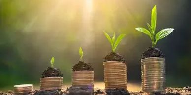 Plants growing on stacks of coins symbolizing financial growth and investment.