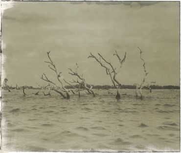 Not So Secret Fishin’ Spot, Tybee Creek