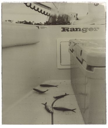 Fresh Bait, Tybee Creek