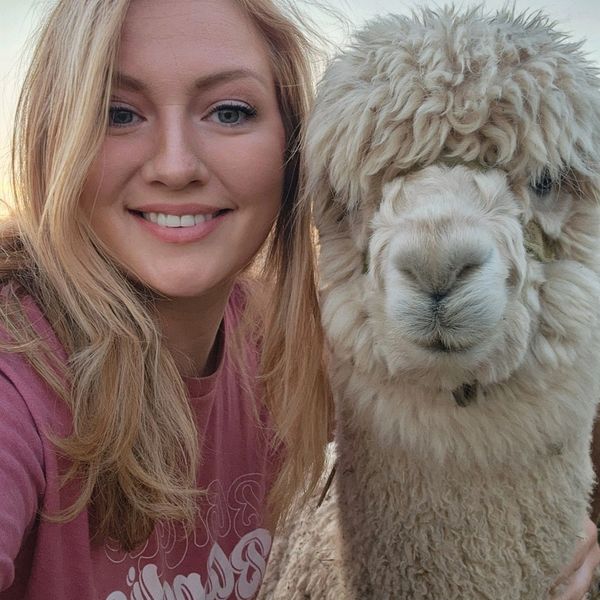 Owner with alpaca