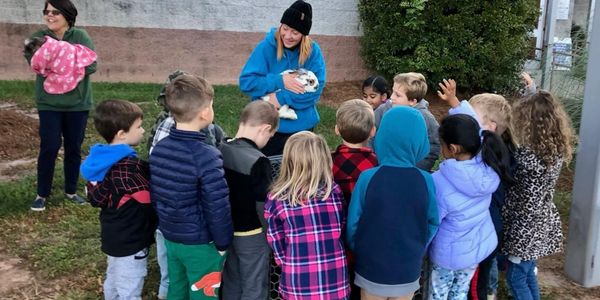 Education at schools with mobile petting zoo