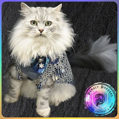 Cat chainmaille suit Henry @maisieandhenrysiberian floofmaster feline market cat siberian scalemaill