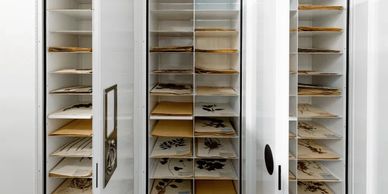 Delta Designs Ltd. specializes in high performance storage solutions, primarily serving museums.