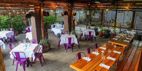 Outdoor restaurant seating with purple chairs and wooden tables under a covered patio.