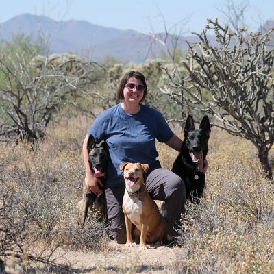Tucson dog trainer Ariel kneels with three dogs in the desert. 