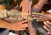 the guardian project 
rita & jeff rayman