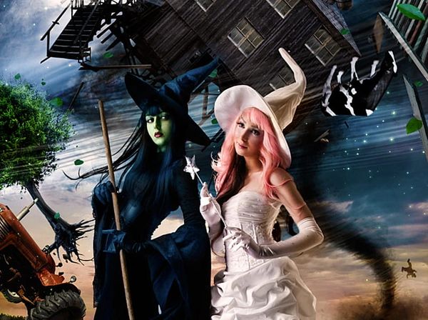 the good witch and bad witch battle it out in your adventure to Oz and home again.  