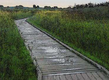 Boardwalk Print