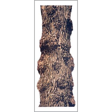 Burl Oak Art Card