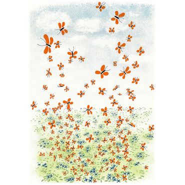 Butterflies