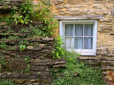 Mineral Point Window Print