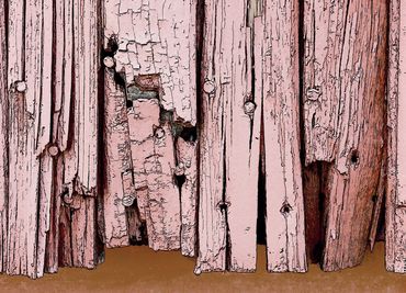 Decrepit Siding