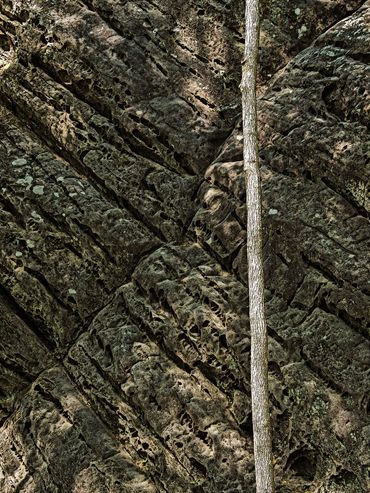 Shawnee Tree Rock