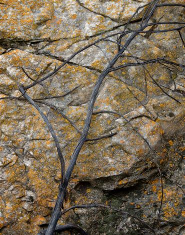 Ten Sleep Canyon Branch Rock