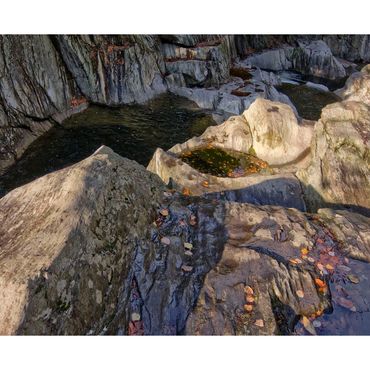 Rock/Water/Leaves VT_1216