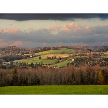 Northeast Kingdom Fields VT_1354