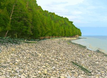 Washington Island Shore
