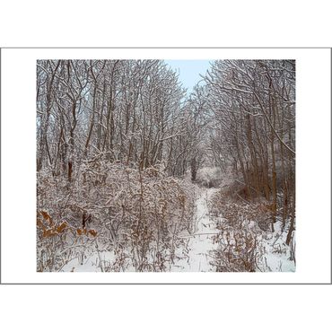 Winter Path Card