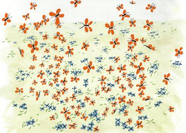 Little Butterflies
