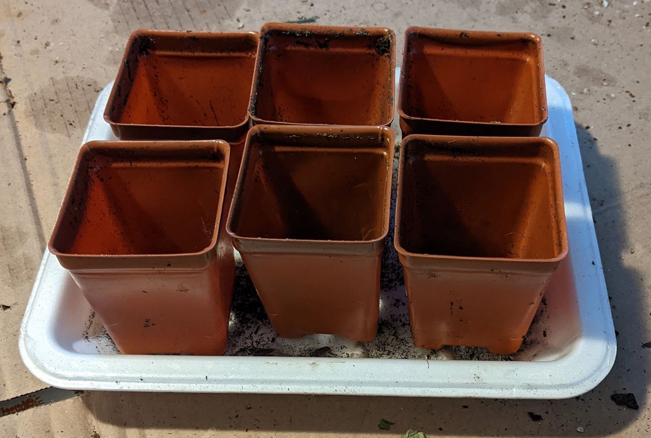 seedling cells for seed starting