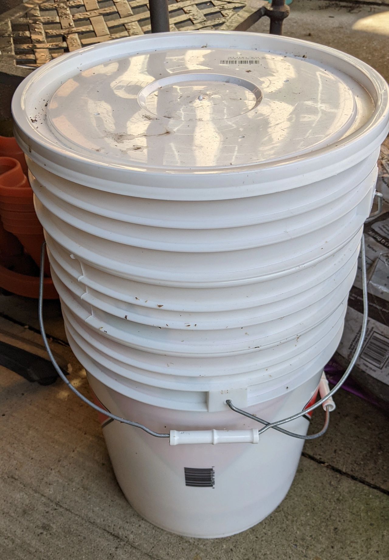 How to Make a Worm Bin at Home The Ultimate Guide The Real Gardener