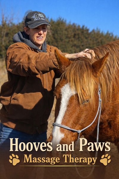 woman performing massage therapy on a horse