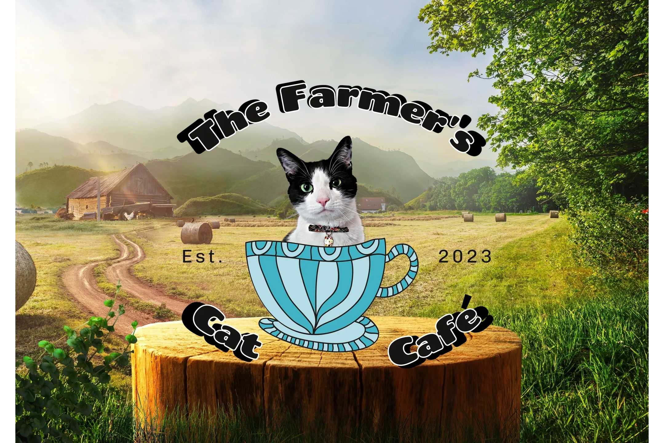 Farmer's Cat Café cover