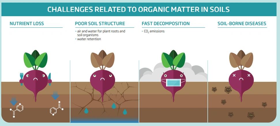 Soil Organic Matter - Why does it matter?
