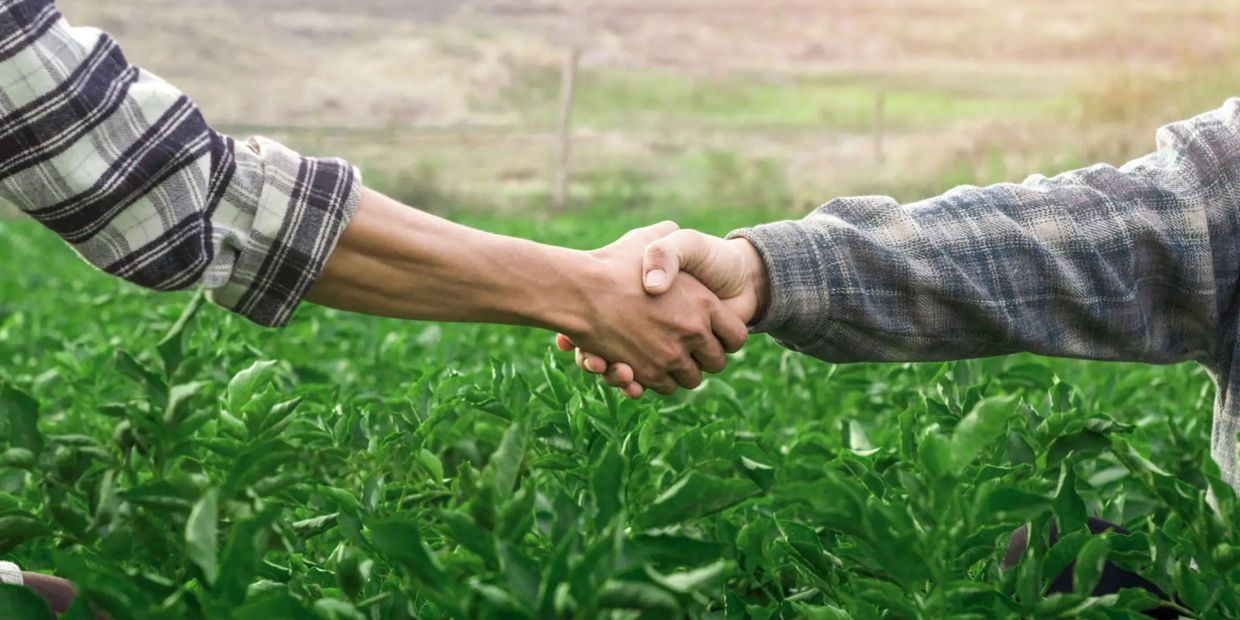Two people shaking hands over green crops in a field.