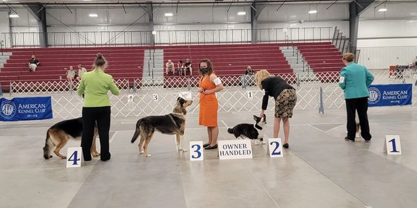 the Cheyenne Kennel Club