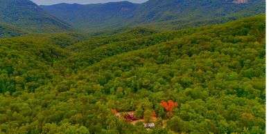 A house nestled in a dense green forest with mountains in the background.