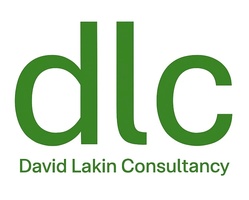 David Lakin Consultancy 