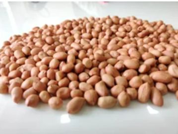 Ground Nuts (Peanuts)