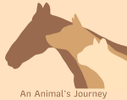 An Animal's Journey
