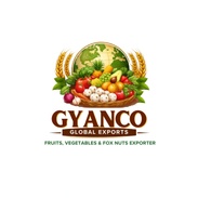 GyanCo Global Private Limited