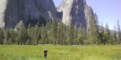 Yosemite National Park