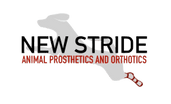 New Stride